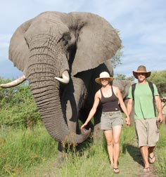 Heart of Botswana 